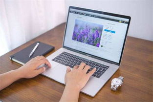 企業(yè)快速建站：如何選擇專業(yè)的建站公司