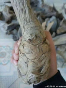 上拍一個精品崖柏把件 石來運轉