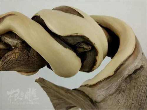 精品崖柏扭轉雙色料作品欣賞