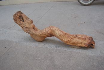 稀世臻品崖柏聞達(dá)天下(組圖)_網(wǎng)易新聞中心