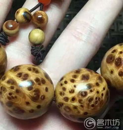 精品太行崖柏滿瘤疤黃金底手串