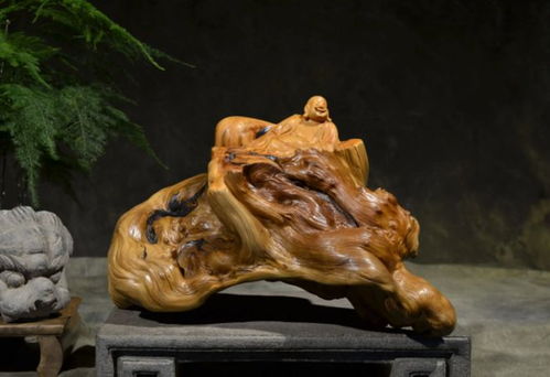 2010年,山西男子為收藏崖柏賣房,11年后一塊木料拍賣出38萬