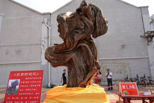 天價文玩層出不窮 崖柏根雕擺件再度拍出高價
