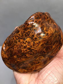 太行崖柏陳化料手把件 掌中的自然韻味與無(wú)限趣味