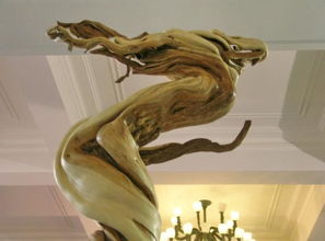 崖柏飛龍在天 3.8億天價是否名副其實？